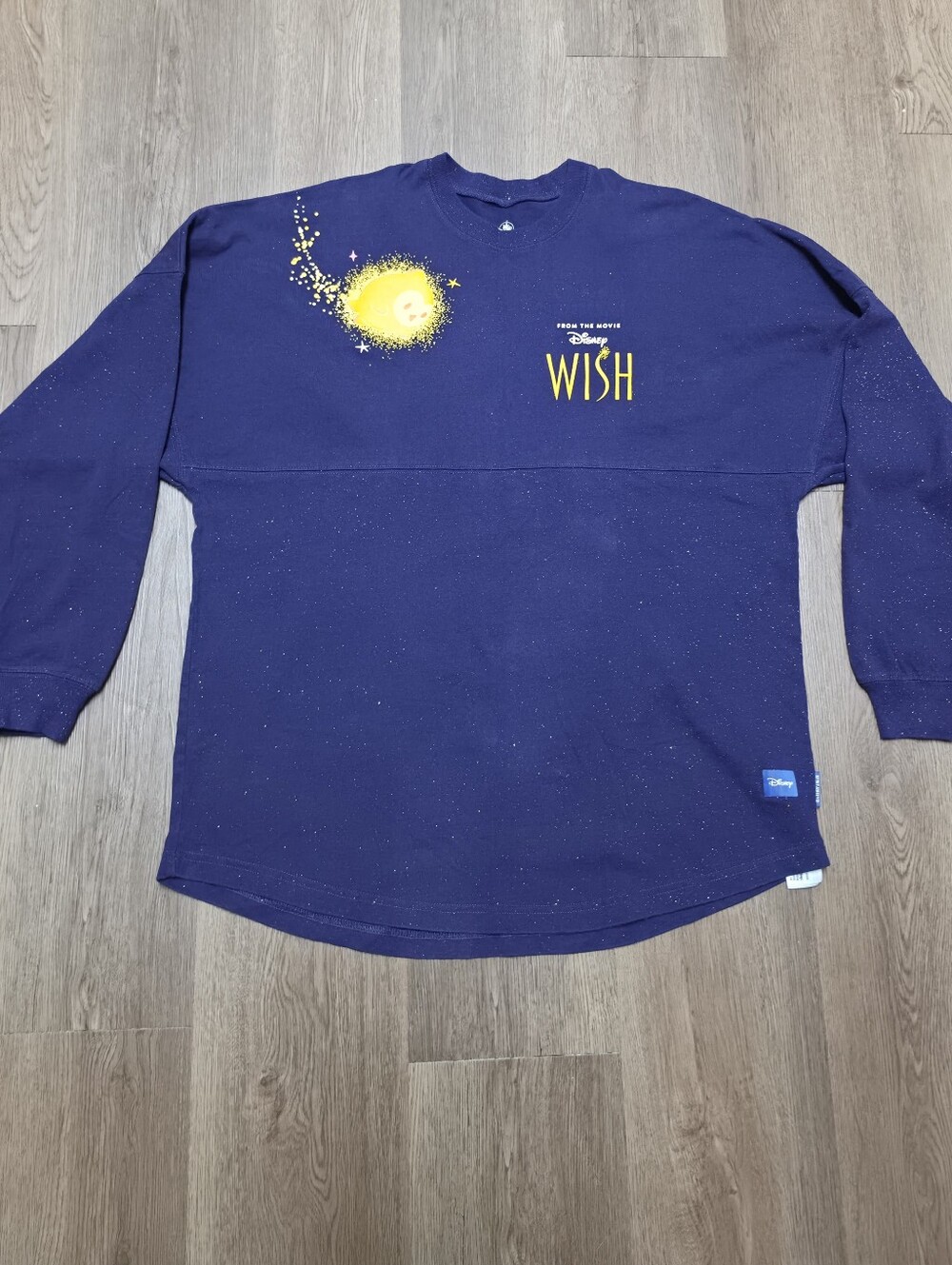 Disney's Wish Spirit Jersey